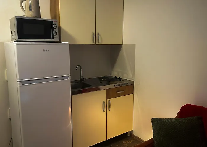 Aryan Ostanak kod kuće *